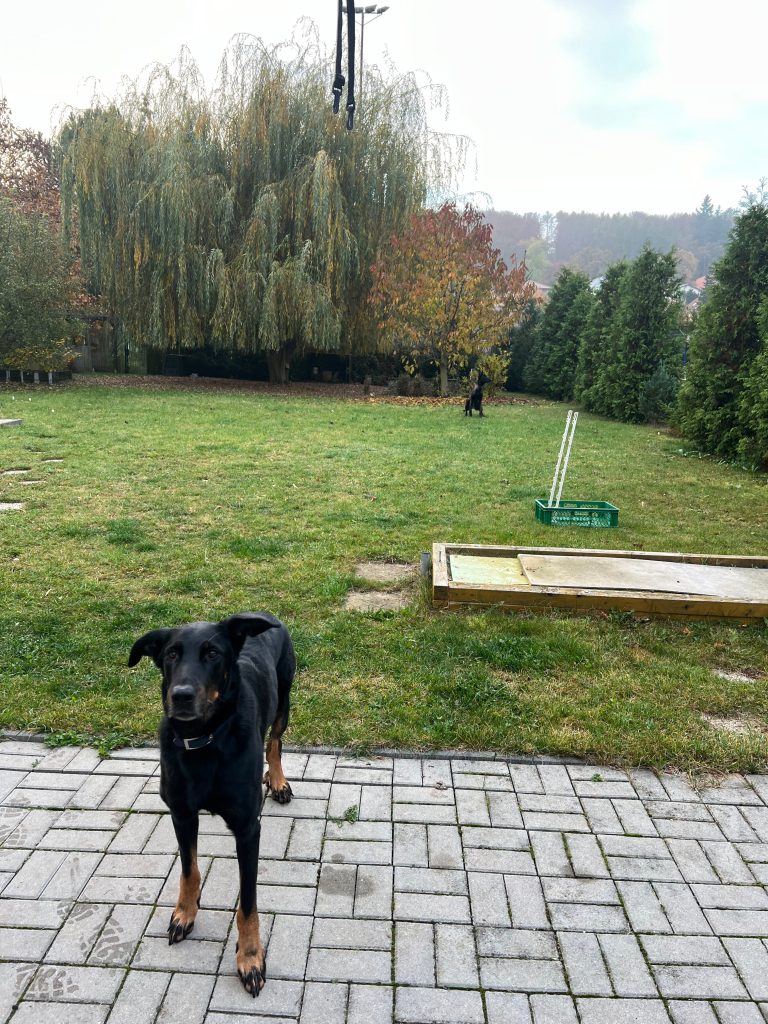 img 3905 facetune 28 07 2025 11 18 20